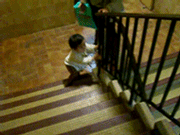 b0026822_1523744.gif