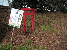 a0050728_9423159.jpg