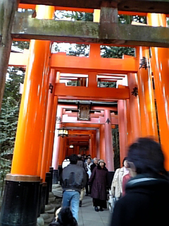 d0042851_10243341.jpg