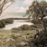 f0012154_14434015.gif