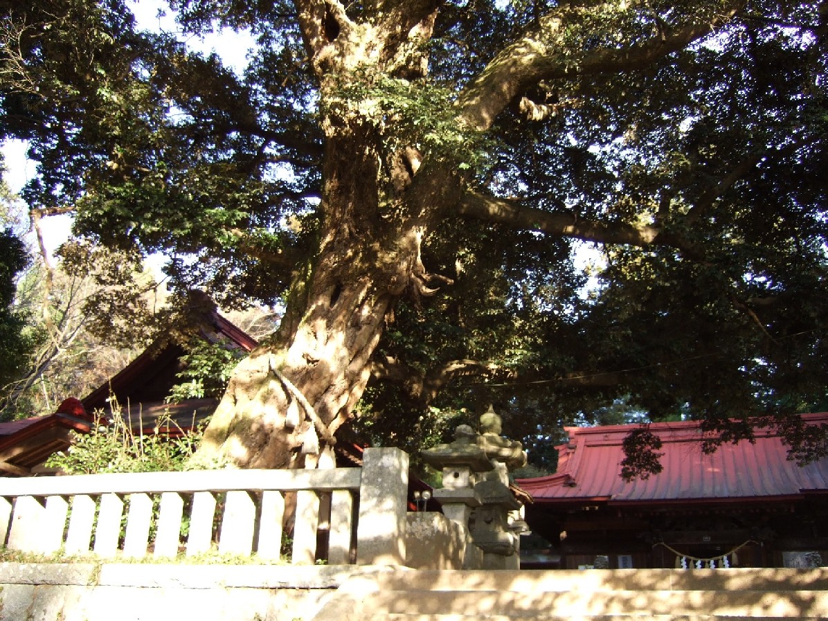 e0009760_15575421.jpg