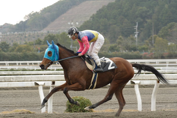 2007年1月3日（水） 高知競馬 1R_a0077663_7554424.jpg