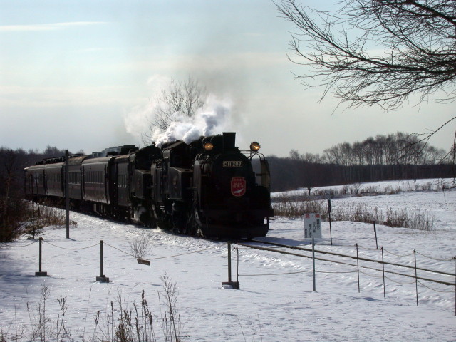 e0100772_2257240.jpg