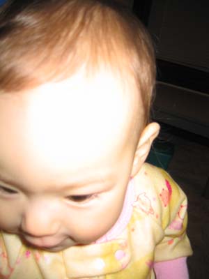 f0014600_12481566.jpg