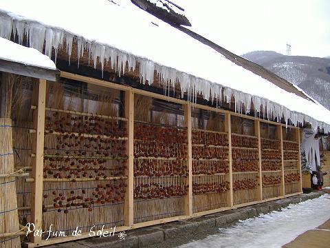 d0087503_063343.jpg