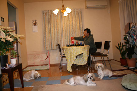 c0011204_04372.jpg