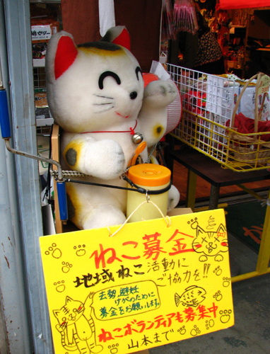 e0066210_064125.jpg