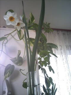 a0049614_7564258.jpg