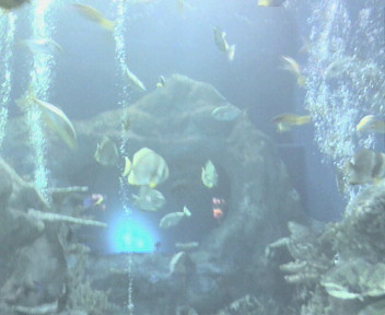 b0101631_2301166.jpg