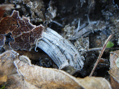 e0097534_16534596.jpg