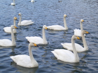 e0053937_18171551.jpg