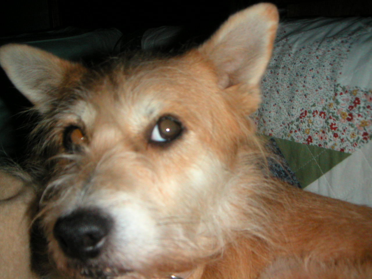 a0089739_3552011.jpg
