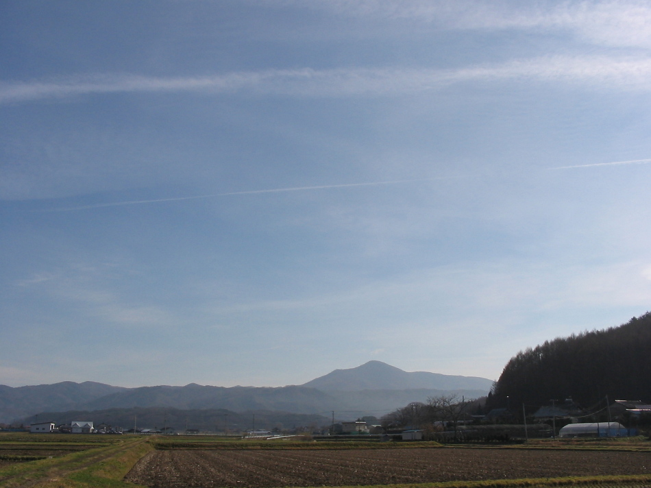 飛行機雲、田を往く_d0001843_11182100.jpg