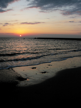 f0041351_1955192.gif