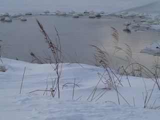 e0004756_21322059.jpg