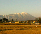 a0025257_155335.jpg