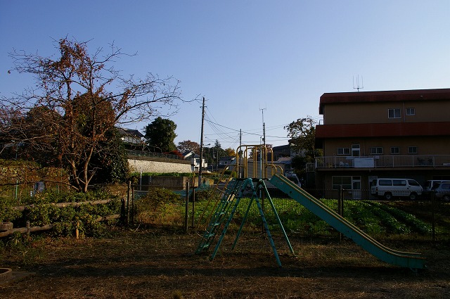 下赤塚散歩　赤塚溜池公園周辺_c0072858_23591940.jpg