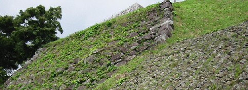 a0087378_2155139.jpg