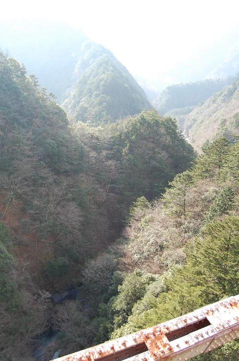 b0059978_2050690.jpg