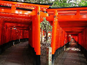 e0064493_1436473.jpg