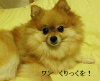 c0052304_2242611.jpg