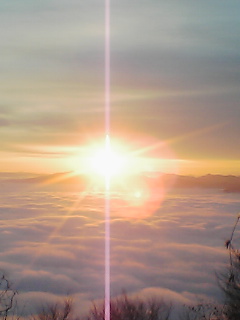 c0090220_1654415.jpg