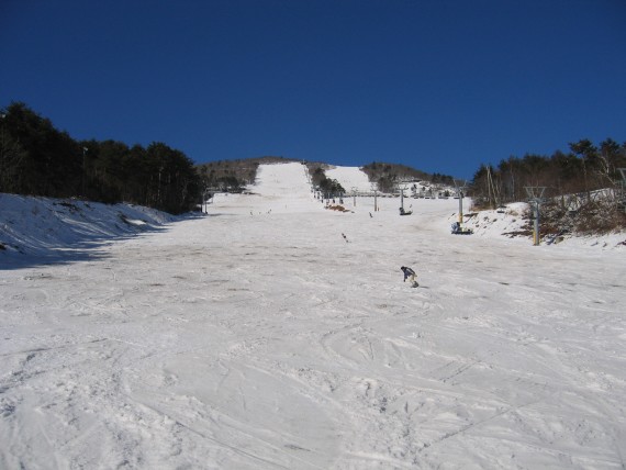 f0040525_8465027.jpg