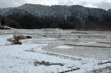 f0063659_1111015.jpg