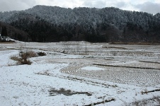 日本縦断ツアー　秋田～青森篇　06\' 12/16~21_f0063659_1111015.jpg