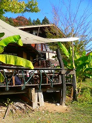 e0001860_10415039.jpg