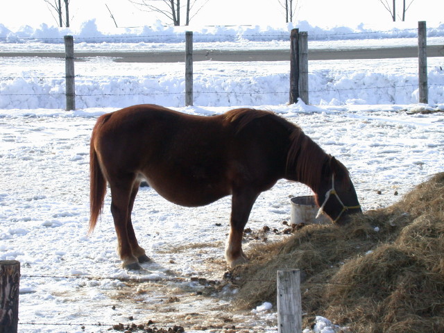 e0100772_22251474.jpg