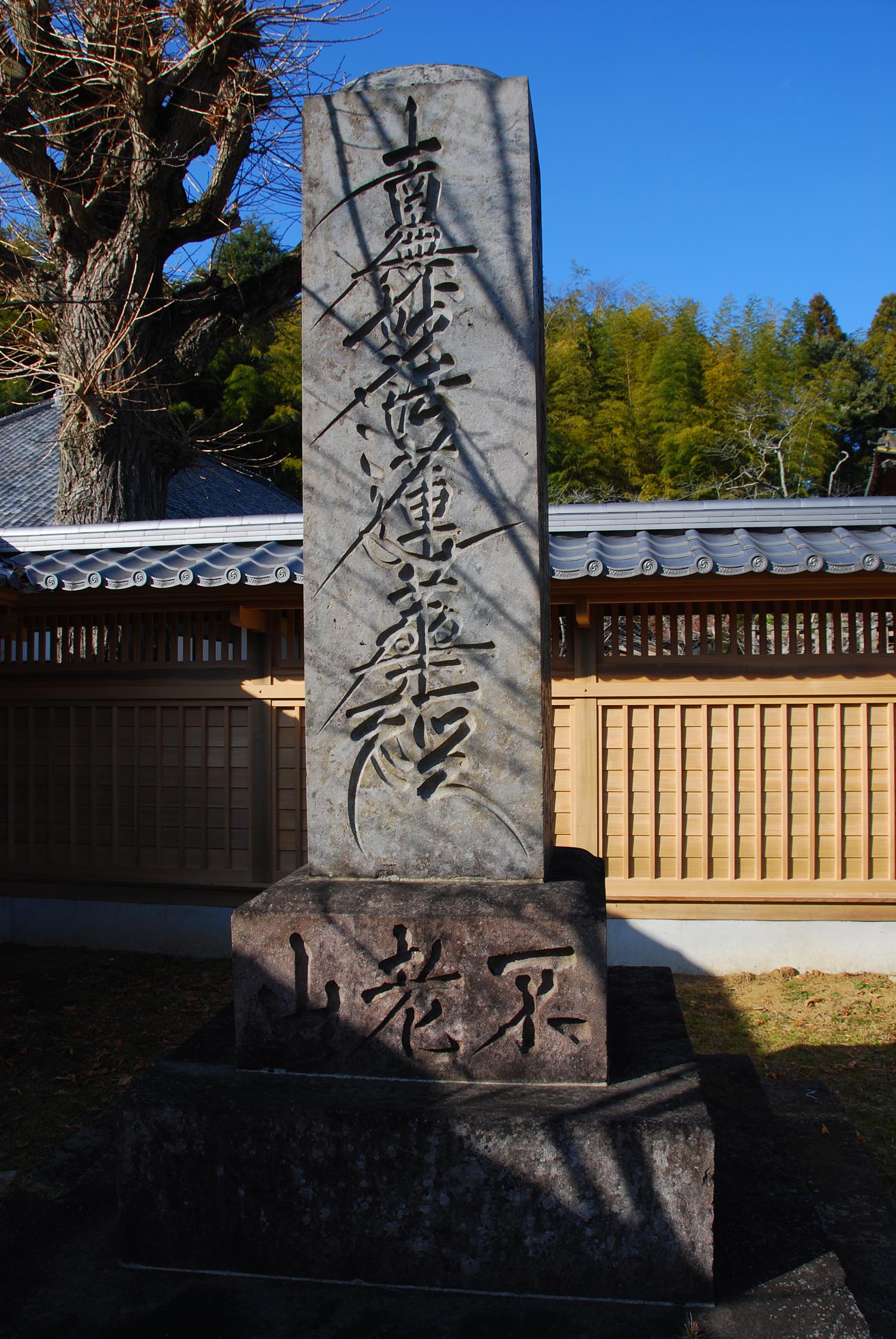e0071178_7224144.jpg