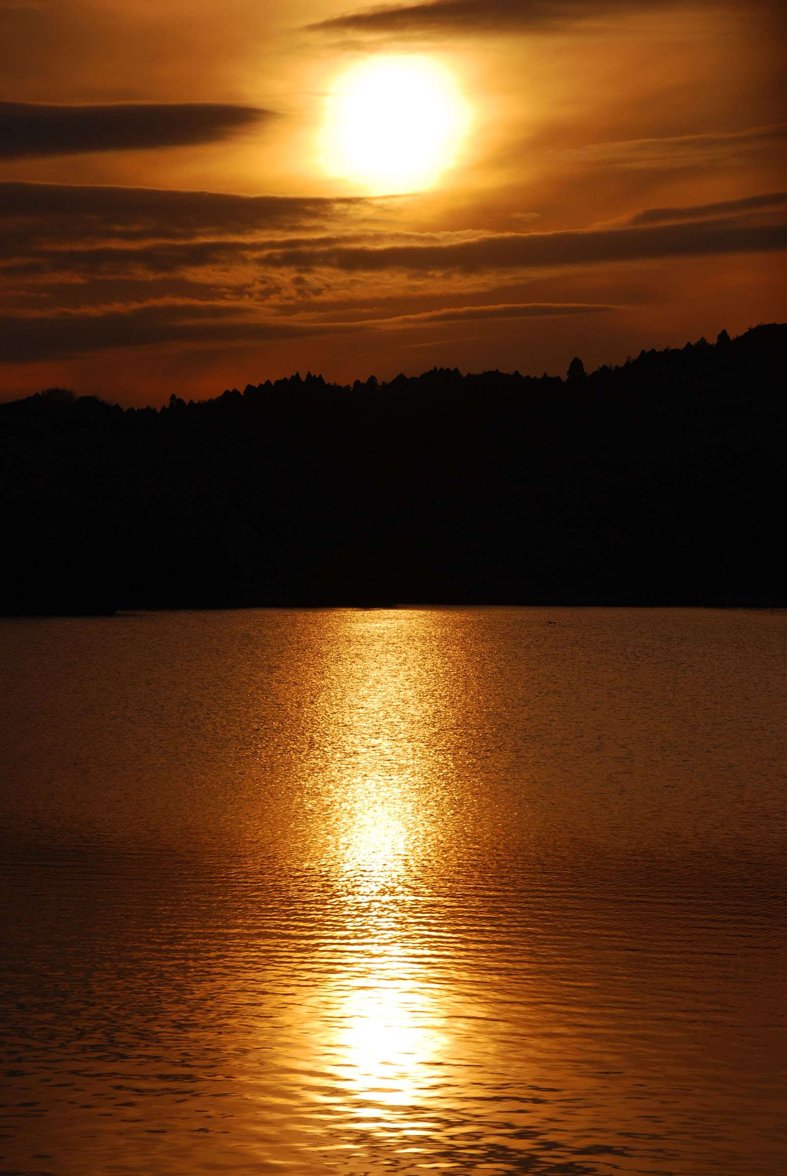 e0071178_7363666.jpg