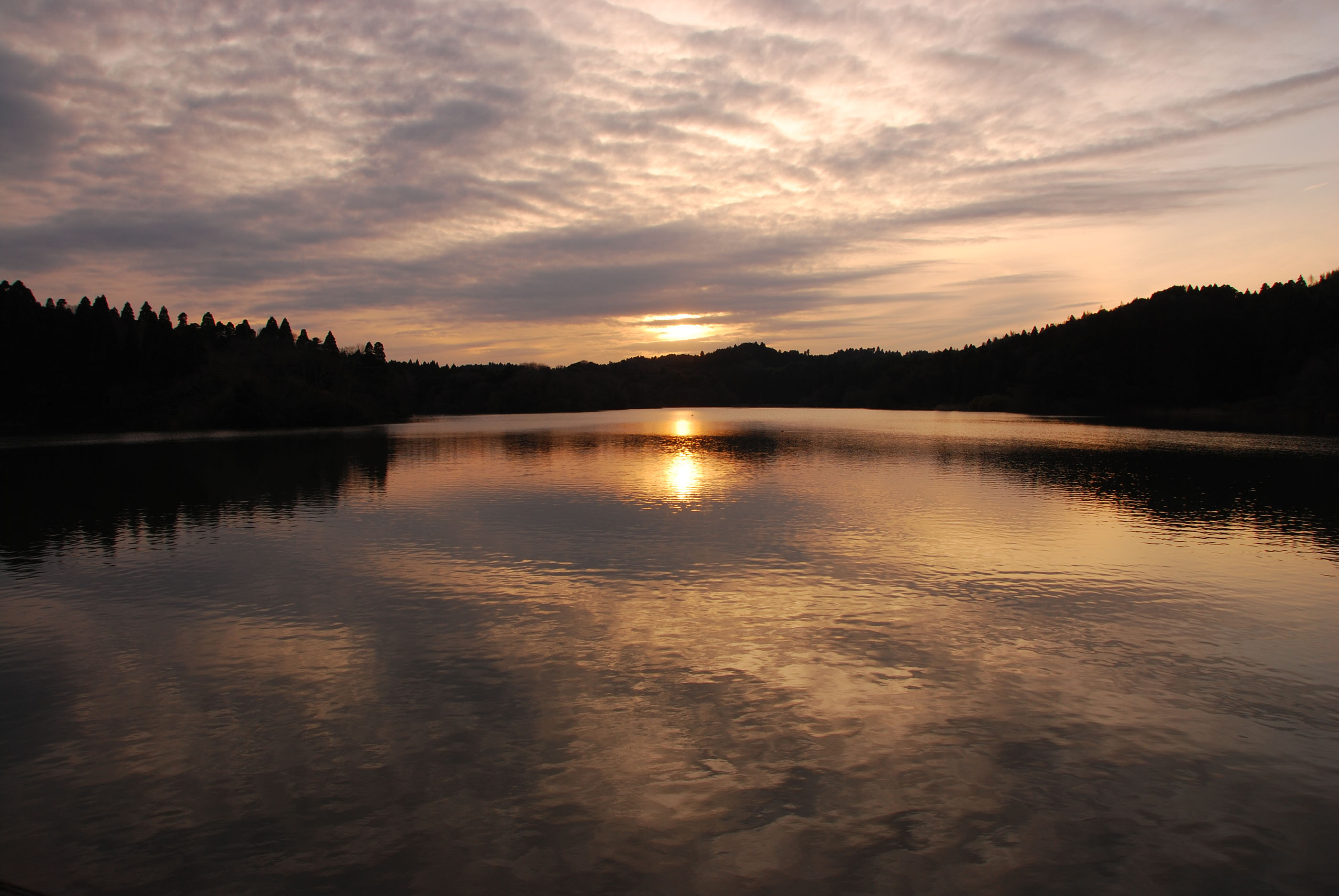 e0071178_8293351.jpg