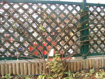 e0008586_10333910.jpg