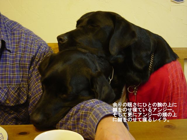 a0093592_13105651.jpg