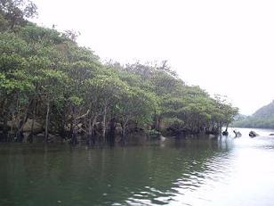e0106098_21353592.jpg