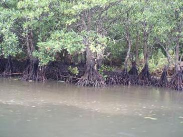 e0106098_21465215.jpg