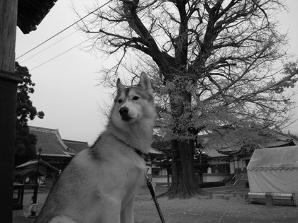 室戸をめざせ♪ ~2006年12月26日_c0049299_12354181.jpg