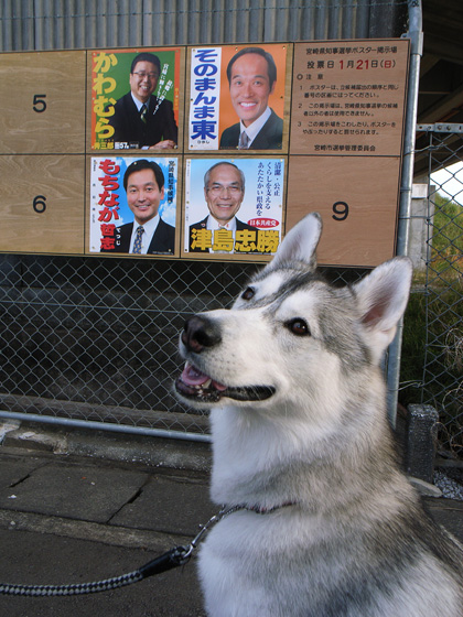 室戸をめざせ♪ ~2006年12月26日_c0049299_12471171.jpg