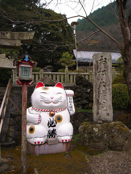 室戸をめざせ♪ ~2006年12月26日_c0049299_1250089.jpg