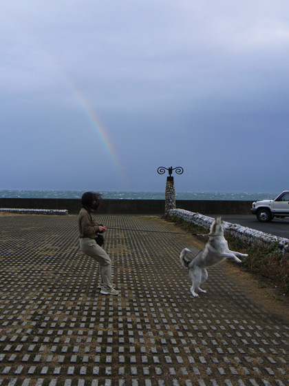 室戸をめざせ♪ ~2006年12月26日_c0049299_1382793.jpg