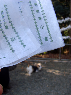 f0080105_0103059.jpg