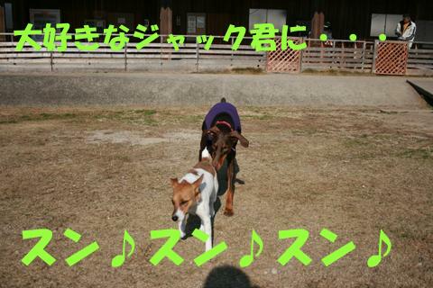 e0100007_1759784.jpg