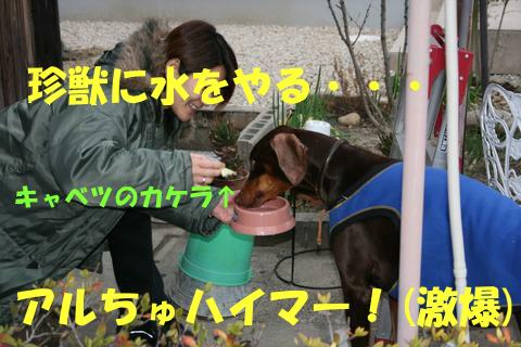 e0100007_1812587.jpg