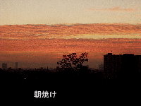 f0116707_14161838.jpg