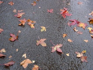 b0026408_2101041.jpg