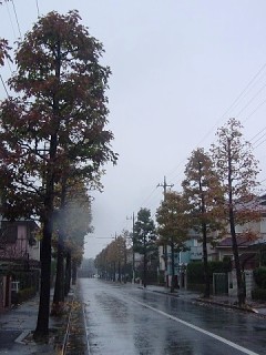 b0026408_211565.jpg