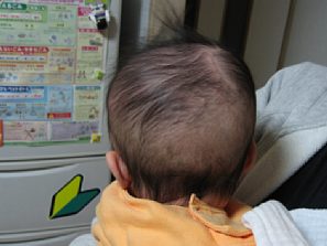 1月6日 生後4ヶ月21日目 たみたんの親バカ日誌 1月6日 生後4ヶ月21日目 たみたんの親バカ日誌