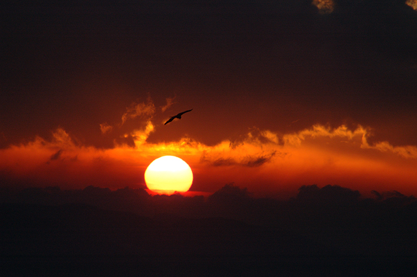 f0086721_403950.jpg